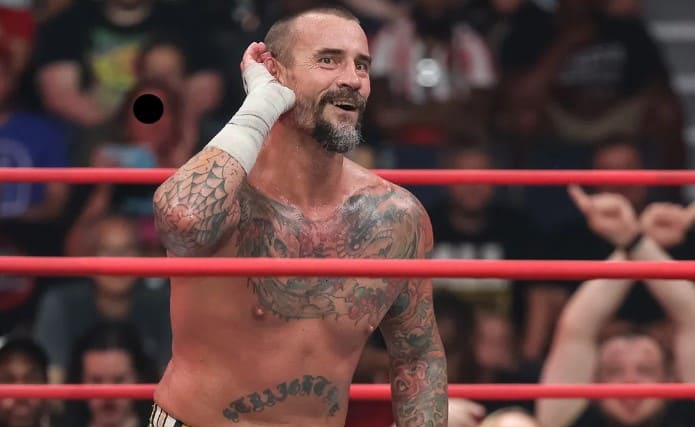 cm punk